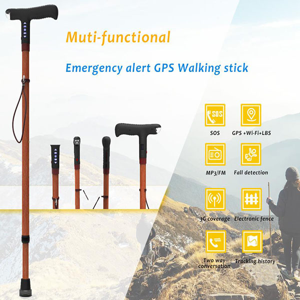 Multifunctional electronic cane