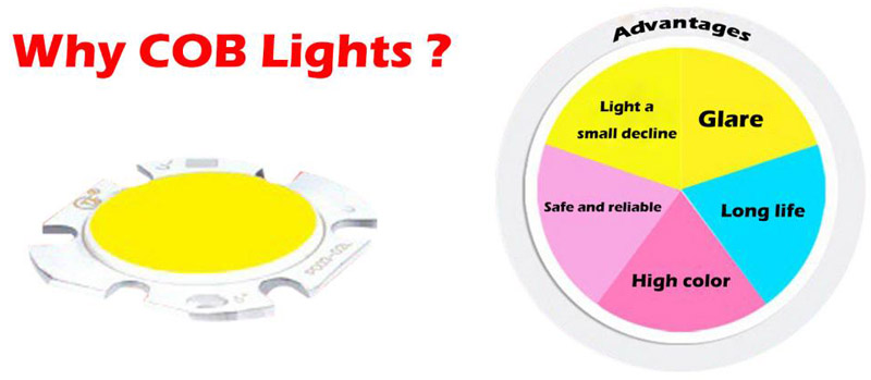 why cob lights?COB, Multi Chips on board, is a technology of LED packaging for LED light engine.