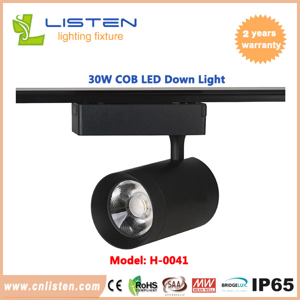 LED Track Light