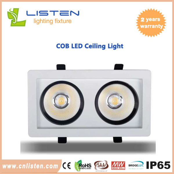 Dual head led cob ceiling light