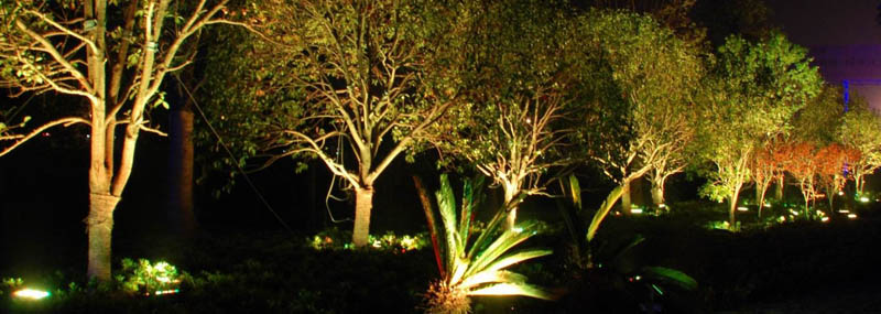 led flood light used in garden, outdoor and indoor places.